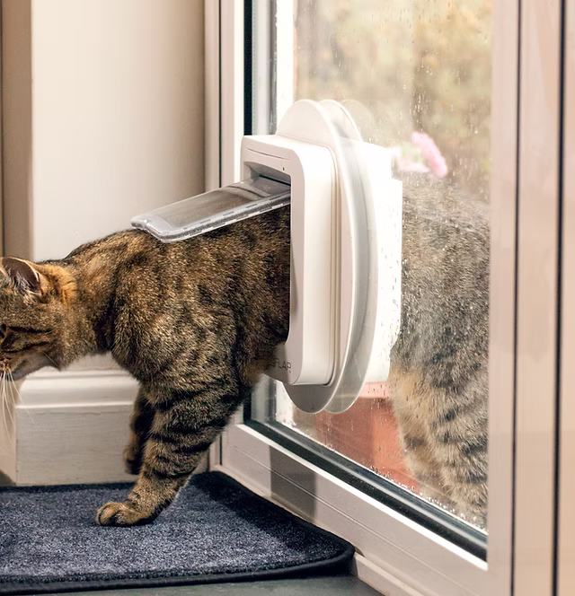 Cat flap installer measuring and cutting a door in London