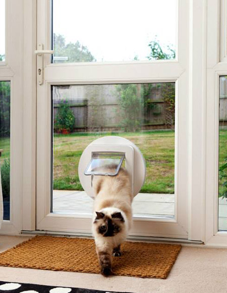 Cat flap fitted into a uPVC back door in London