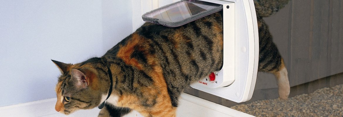 Cat flap installed through a brick wall with neat finish