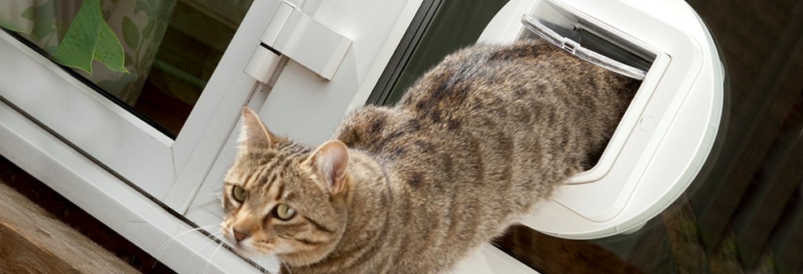 Cat flap installed into a glass patio door in London